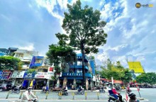 Mặt tiền kinh doanh HĐT 66tr/th đường Nguyễn chí Thanh quận 10(4x15m) 5 tầng