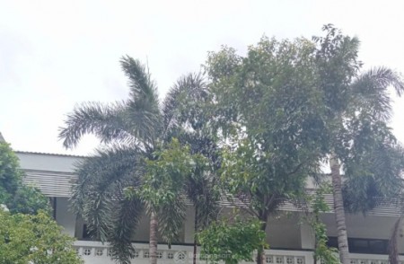HẺM 10M NGUYỄN QUÝ YÊM BÌNH TÂN